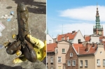Tìm thấy đồ chơi tình dục 300 năm tuổi tại Ba Lan 
